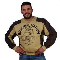 Viking Sweatshirt, Beige